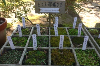 d0136804_6204152.jpg
