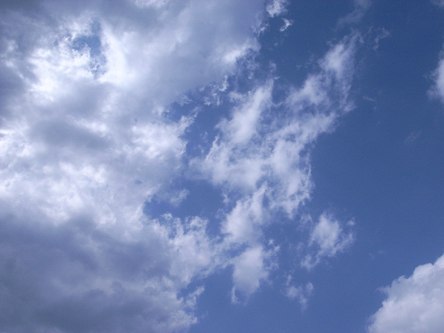 e0063309_10281565.jpg