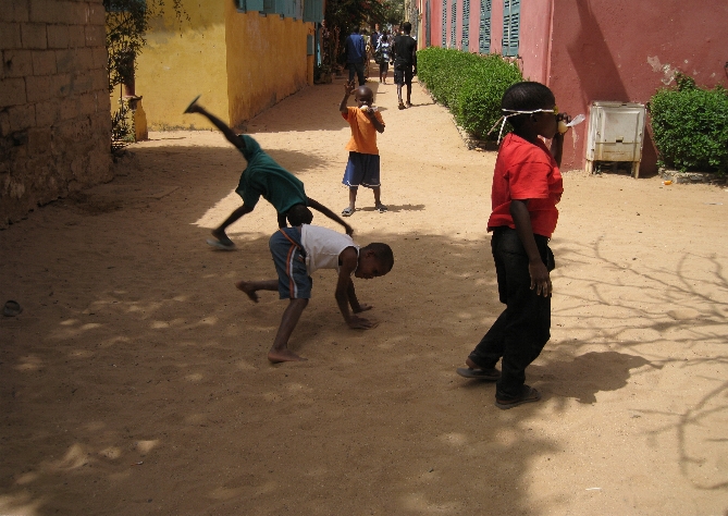 Ｃａｐｏｅｉｒａ　Ｓｅｎｅｇａｌ_b0110813_10141231.jpg