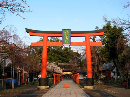 平野神社 魁桜_e0048413_22204860.jpg
