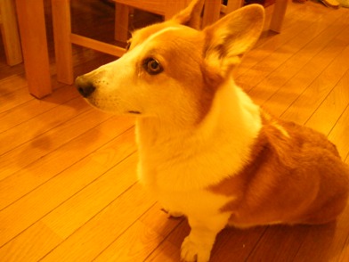 c0118715_23121728.jpg