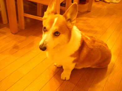 c0118715_23143780.jpg