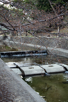 e0083517_2573973.jpg