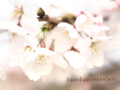 f0155120_9392826.gif