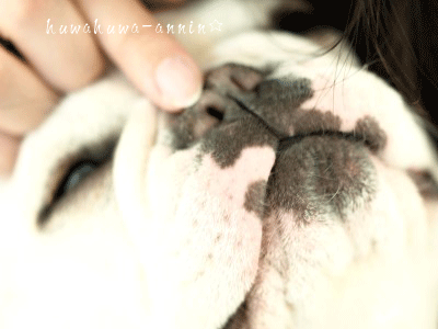f0155120_9403581.gif