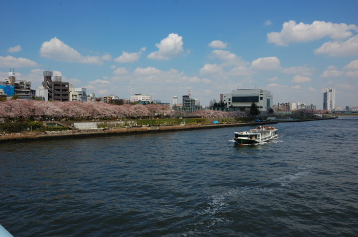 きょうの隅田公園_d0136628_1633853.jpg