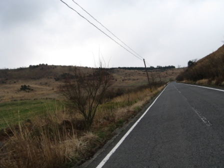 f0000330_18103620.jpg