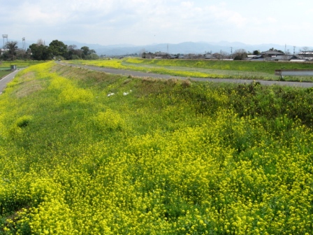 f0000330_1814457.jpg