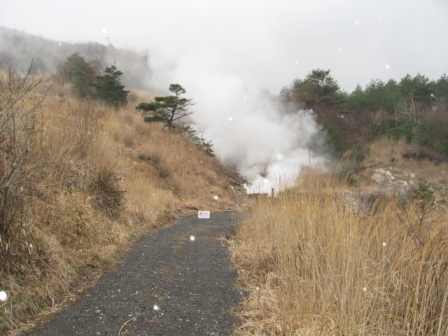 f0000330_1821453.jpg