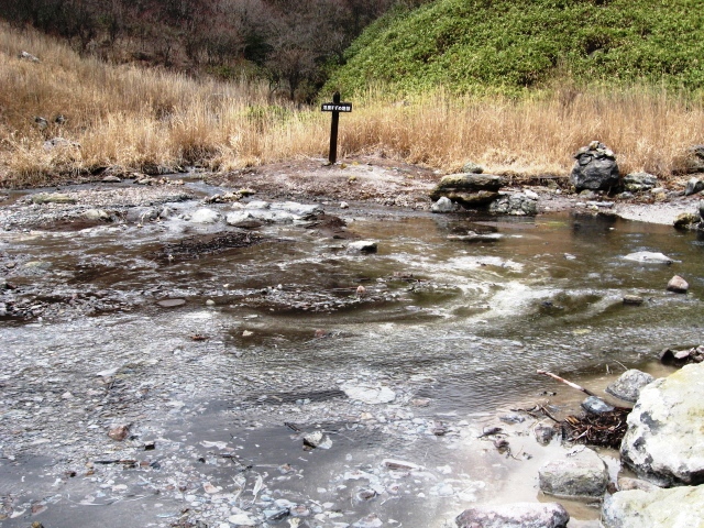 f0000330_19243266.jpg