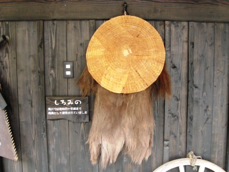 f0000330_19303865.jpg