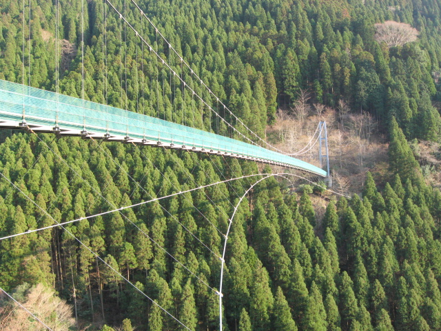 f0000330_19373673.jpg