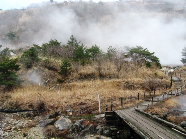 f0000330_1954935.jpg