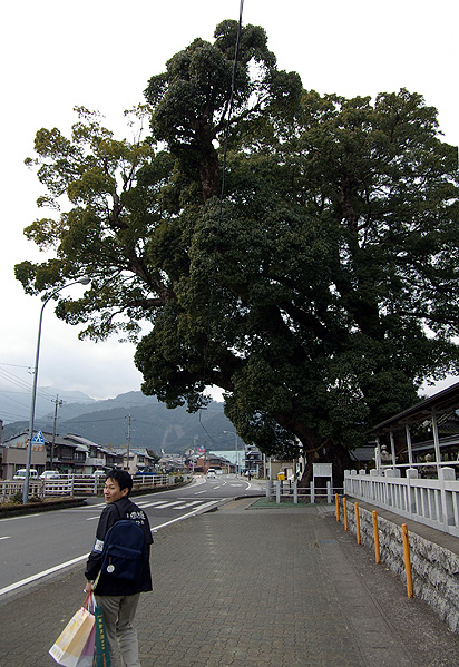 大人の社会見学　尾鷲町中探索_f0104037_1624194.jpg