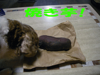 c0136838_16243422.gif