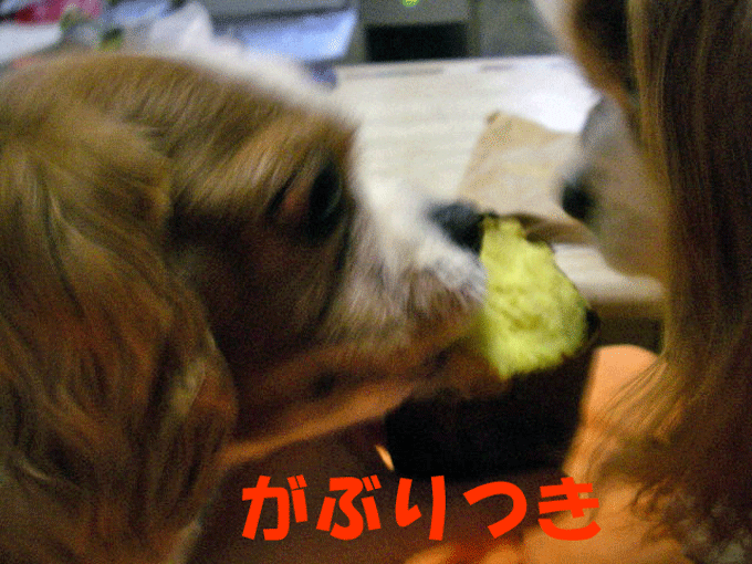 c0136838_16301847.gif