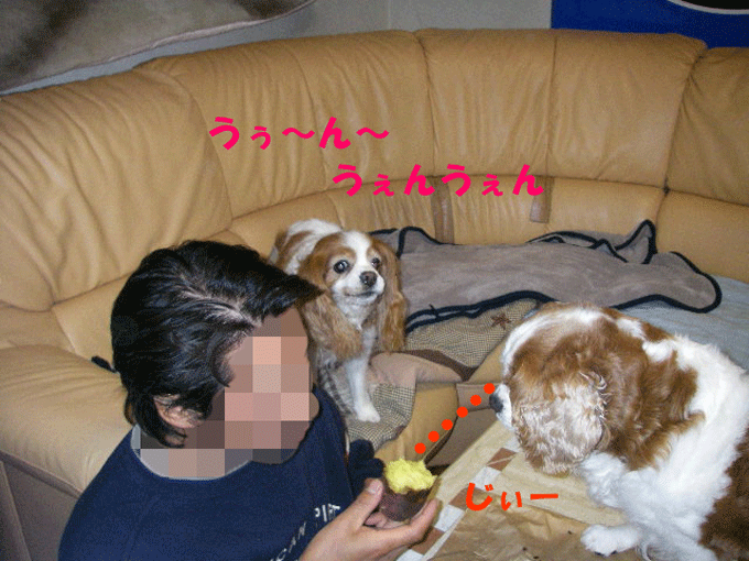c0136838_1642111.gif