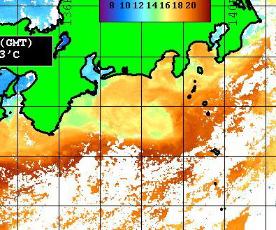 相模湾にもマカジキ情報が！！ [カジキ・マグロトローリング]_f0009039_951892.jpg