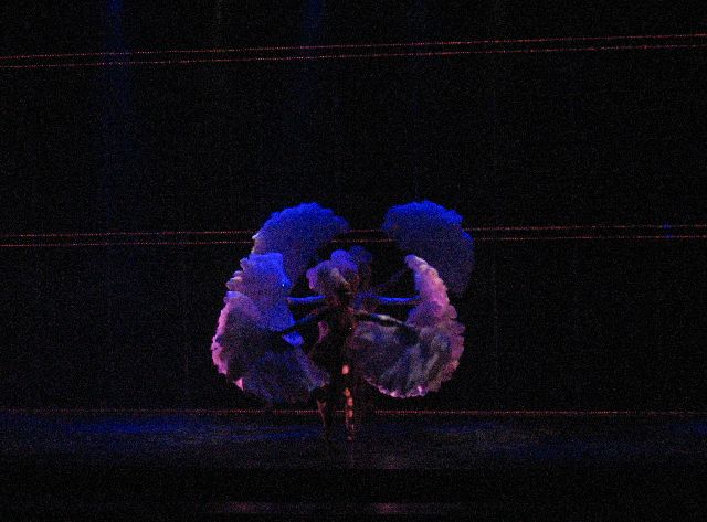 e0098241_11372714.jpg