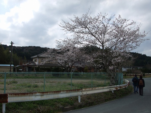 天竜浜名湖鉄道のぶらり旅　１_a0088543_23573955.jpg