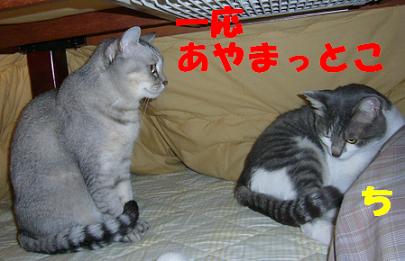 ひゃ~_f0002743_1104583.jpg