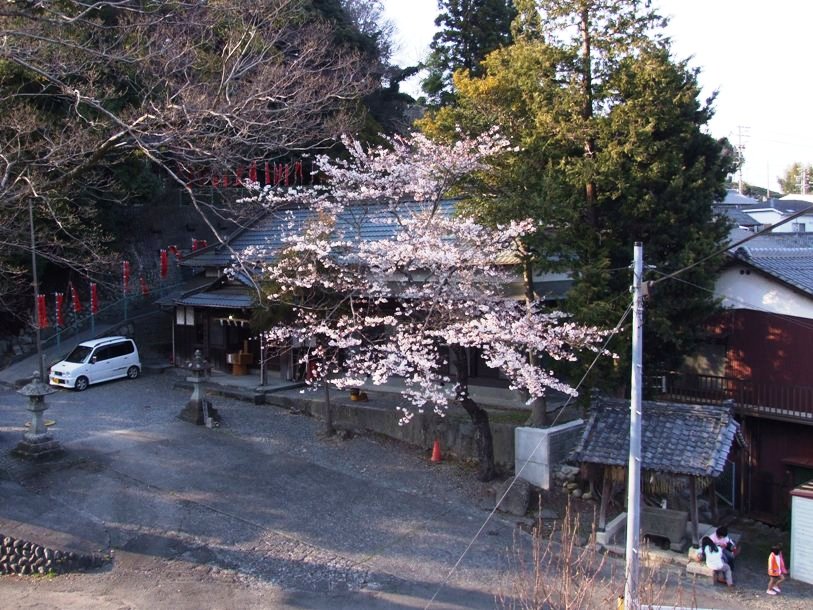jr金谷駅界隈の桜 どうすりゃ いいだかしん 金谷駅前通り活性化プロジェクト jr金谷駅界隈の桜 どうすりゃ いいだかしん 金谷駅前通り活性化プロジェクト