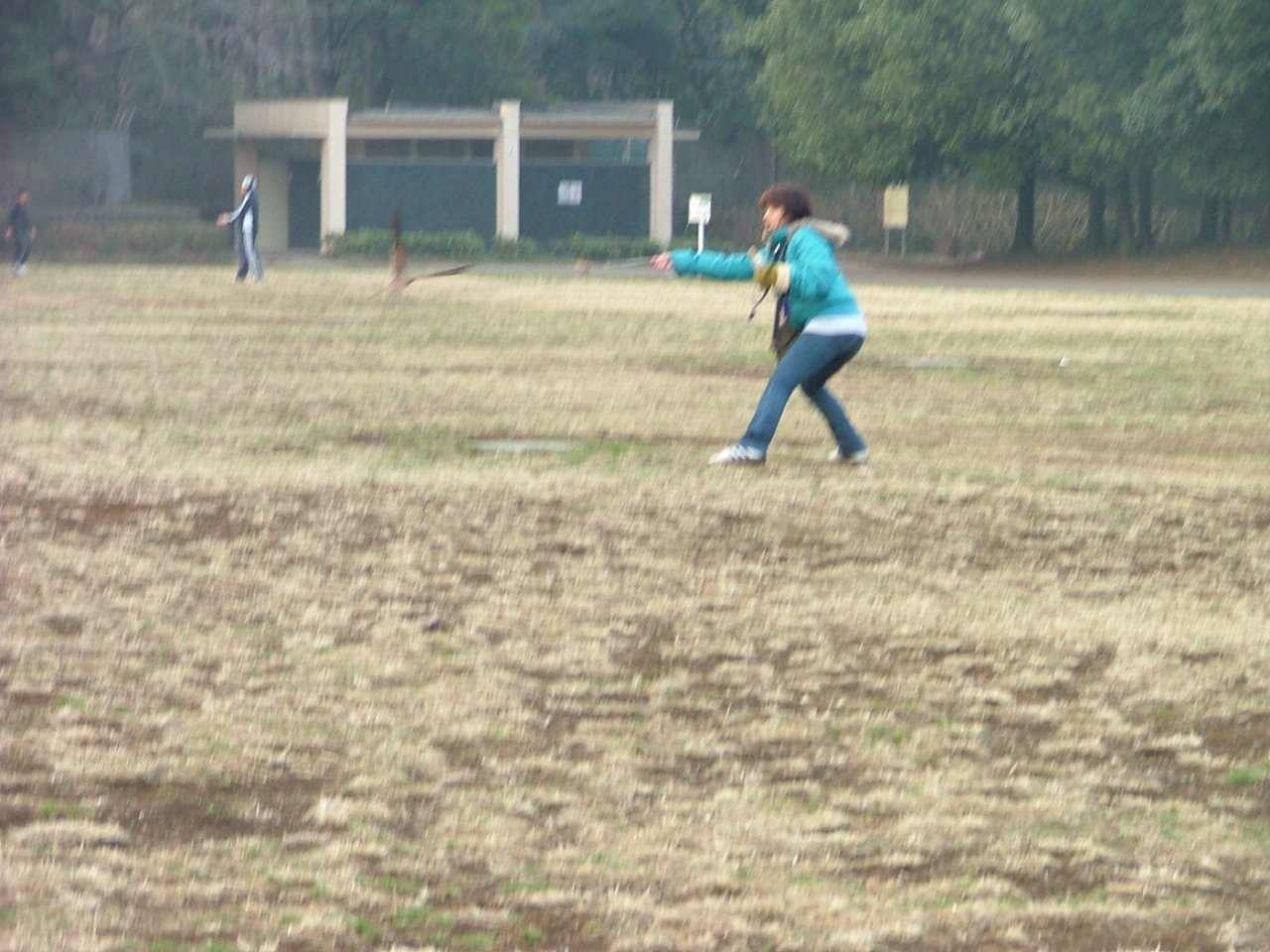 c0132048_16586.jpg