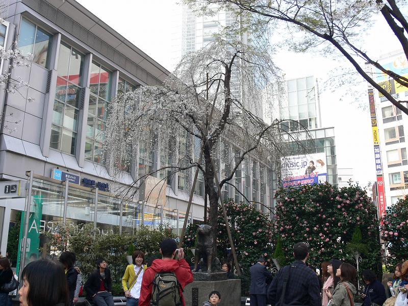 c0059854_2311652.jpg