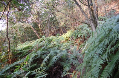 c0108460_20421289.jpg