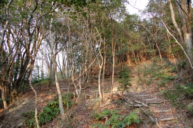 c0108460_204362.jpg
