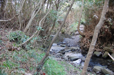 c0108460_2044964.jpg