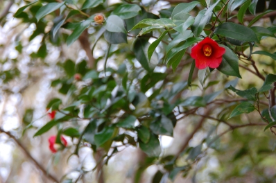 c0108460_20453571.jpg