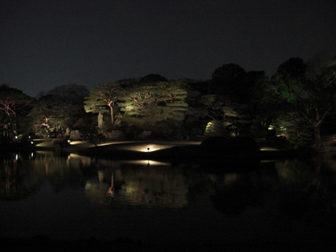 六義園、ライトアップされた枝垂れ桜_a0053063_059447.jpg