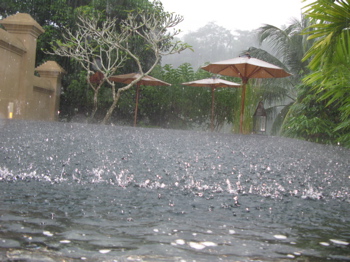 浄化の雨（バリ旅行記２）_a0014464_21565860.jpg