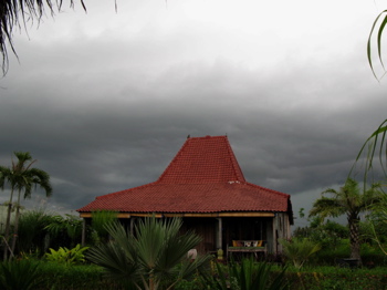 浄化の雨（バリ旅行記２）_a0014464_21571174.jpg