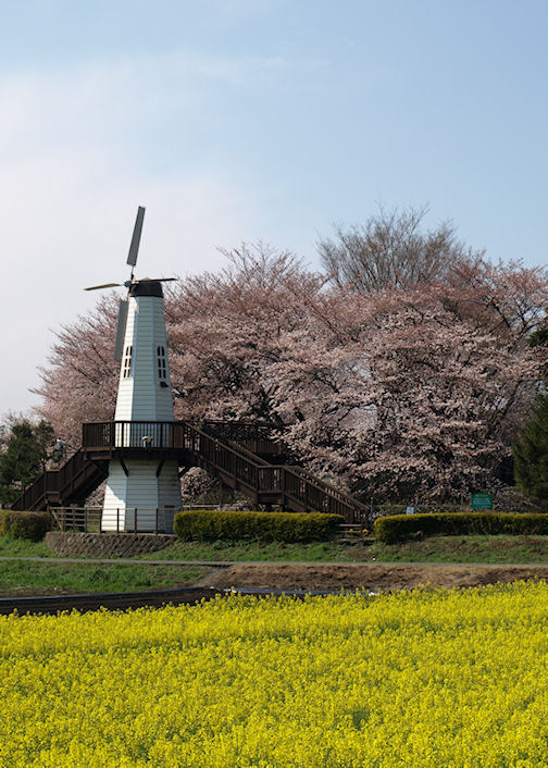 a0073065_21452373.jpg