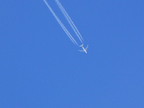 d0010073_2117136.jpg