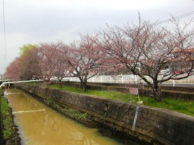 c0078480_0391474.jpg