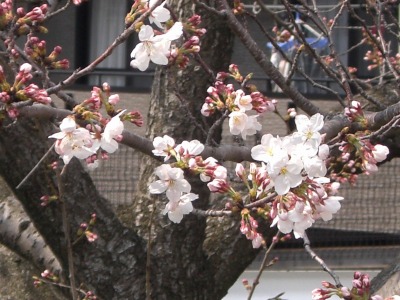c0078480_0405575.jpg