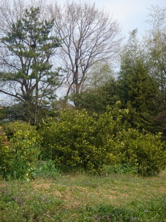 c0135480_23394587.jpg