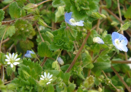 c0135480_2350267.jpg