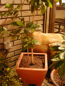 a0091181_19172439.jpg