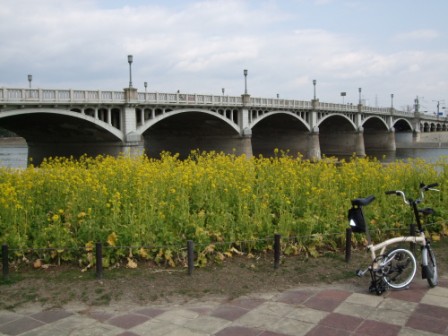 水のある風景_e0138081_19252384.jpg