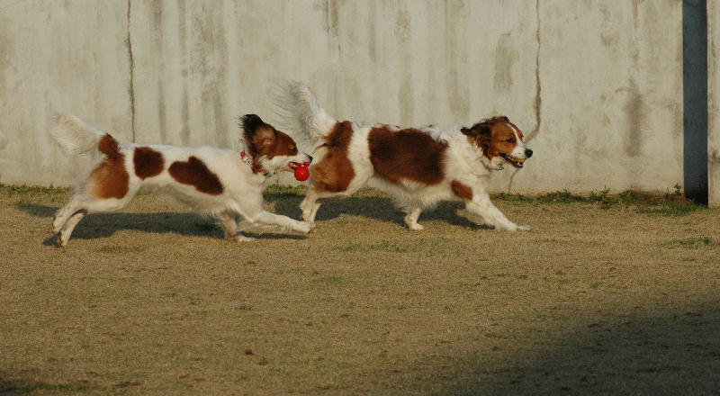 c0075585_1292413.jpg