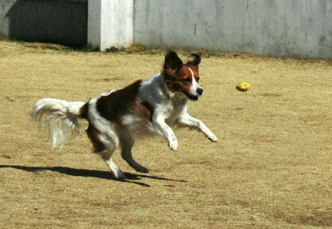 c0075585_145451.jpg