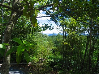 b0127486_13281211.jpg
