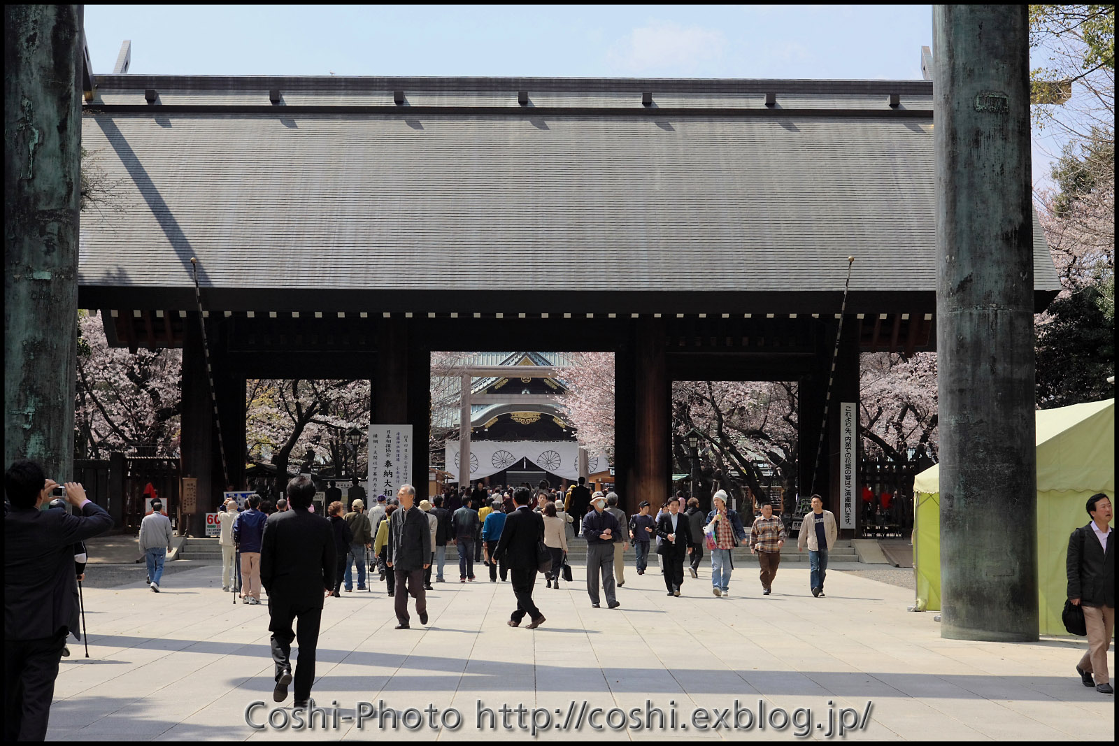 昼スナde靖国神社no桜撮り・・・前編_a0110096_1519249.jpg