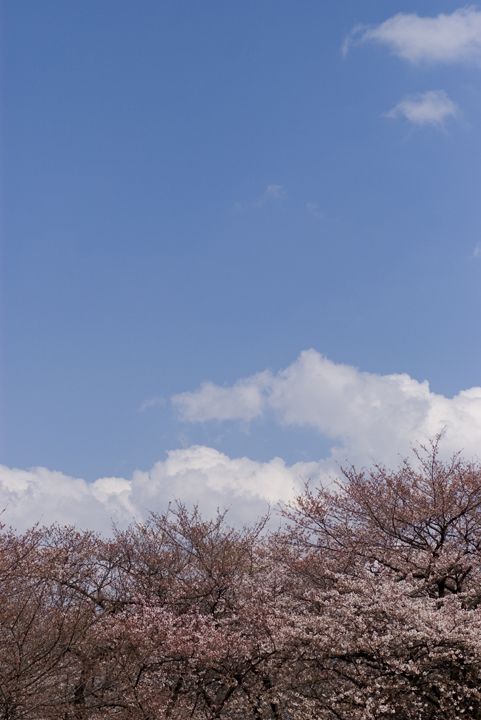 c0120903_1254240.jpg