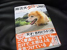 犬の本_a0041508_17362630.jpg