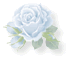 d0070113_2092454.gif